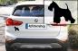 Preview: Autoaufkleber Schnauzer (Zwergschnauzer) stehend Silhouette