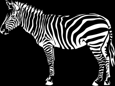 Aufkleber Zebra * für dunkle Hintergründe