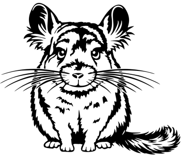 Aufkleber Chinchilla