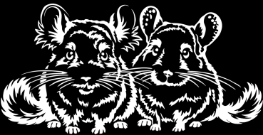 Aufkleber Chinchilla