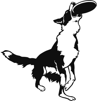 Aufkleber American Water Spaniel Kopf