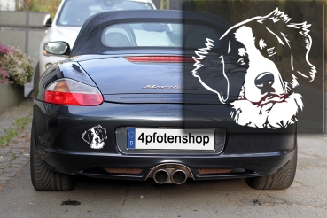 Autoaufkleber "Berner Sennenhund" Kopf