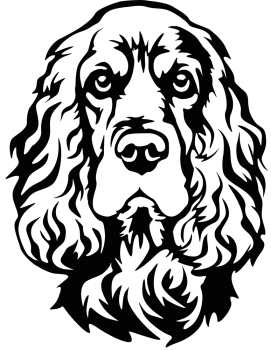 Autoaufkleber "Englischer Cocker Spaniel" Kopf