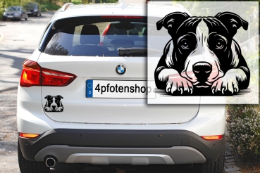 Autoaufkleber "American Staffordshire Terrier" Kopf