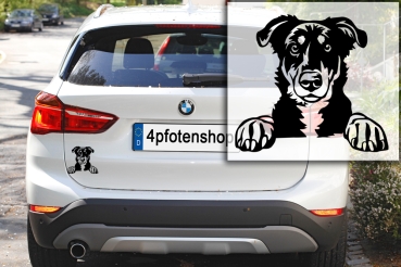 Autoaufkleber "Beauceron" Kopf