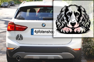 Autoaufkleber "Englischer Cocker Spaniel" Kopf