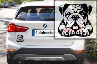 Autoaufkleber "Englische Bulldogge" Kopf