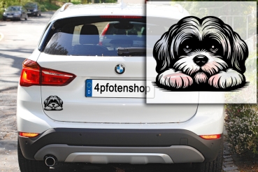 Autoaufkleber "Lhasa Apso" Kopf