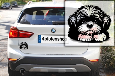 Autoaufkleber "Shih-Tzu" Kopf