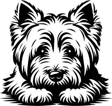 Aufkleber West Highland Terrier Kopf