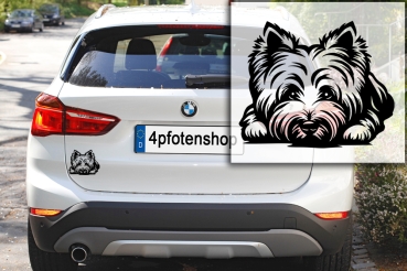 Autoaufkleber "West Highland Terrier" Kopf