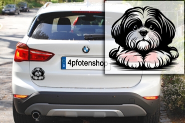 Autoaufkleber "Shih-Tzu" Kopf