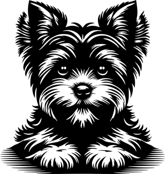 Autoaufkleber "Yorkshire Terrier" Kopf