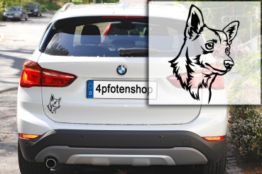 Autoaufkleber "Podengo Portugues (Glatthaar)" Kopf