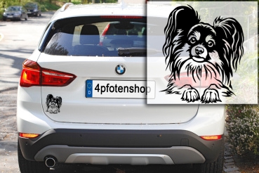 Autoaufkleber "Papillon" Kopf