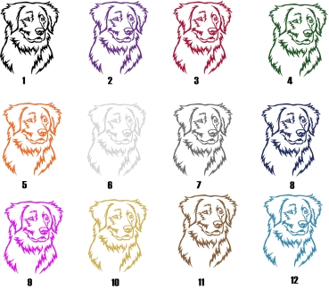 Autoaufkleber "Duck Tolling Retriever" Kopf
