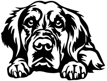 Aufkleber Golden Retriever Kopf