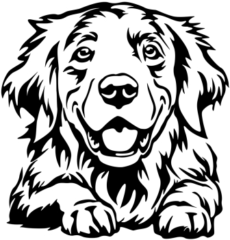 Aufkleber Golden Retriever Kopf