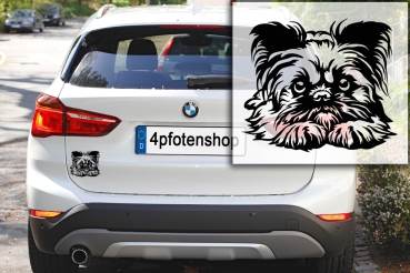 Autoaufkleber "Brüsseler Griffon" Kopf