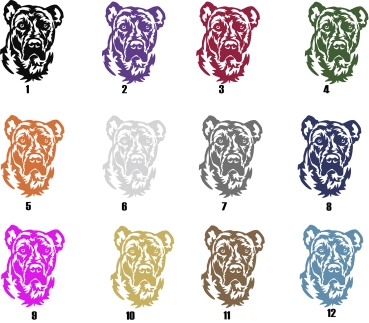 Preview: Autoaufkleber "Cimarron Uruguayo" Kopf