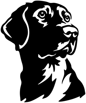 Autoaufkleber Labrador Kopf