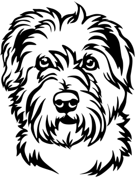 Aufkleber Irish Glen of Imaal Terrier