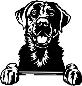 Aufkleber Labrador Kopf