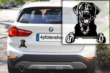 Autoaufkleber "Labrador" Kopf