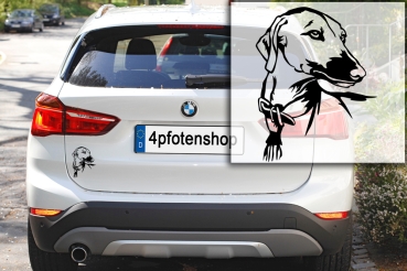 Autoaufkleber "Azawakh" Kopf