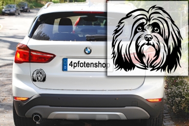 Autoaufkleber "Havaneser" Kopf