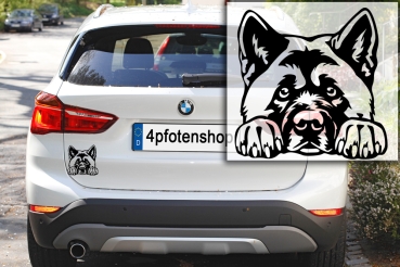 Autoaufkleber "American Akita" Kopf