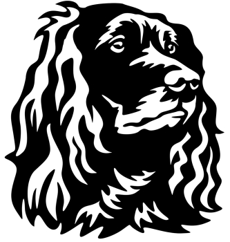 Aufkleber Deutscher Wachtelhund Kopf