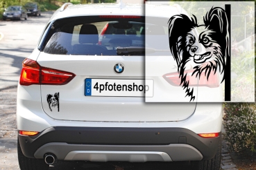 Autoaufkleber "Papillon" Kopf