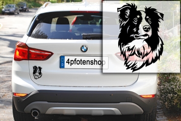 Autoaufkleber "Border Collie" Kopf