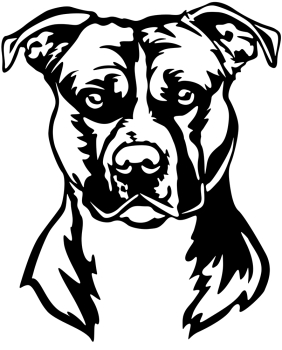 Aufkleber American Staffordshire Terrier Kopf