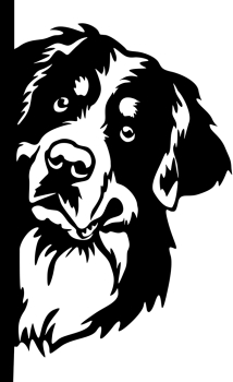 Aufkleber Berner Sennehund Kopf
