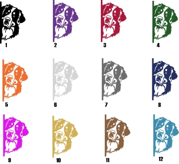 Autoaufkleber "Berner Sennenhund" Kopf