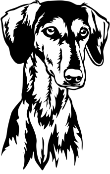 Aufkleber Saluki Kopf