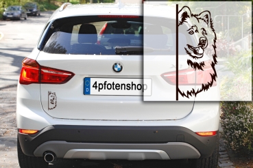 Autoaufkleber "Samojede" Kopf