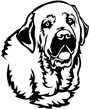 Aufkleber Spanischer Mastiff Kopf