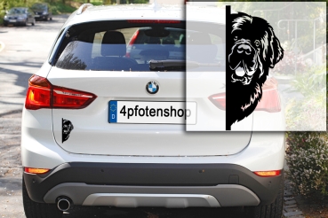 Autoaufkleber "Neufundländer" Kopf
