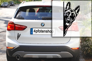 Autoaufkleber "Malinois" Kopf