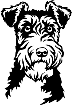 Aufkleber Foxterrier Kopf