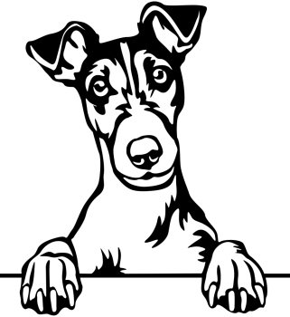 Aufkleber Foxterrier Kopf