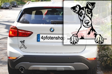 Autoaufkleber "Foxterrier" (Glatthaar) Kopf