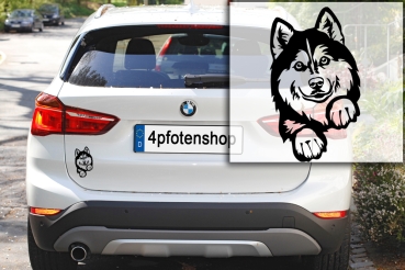 Autoaufkleber "Siberian Husky" Kopf