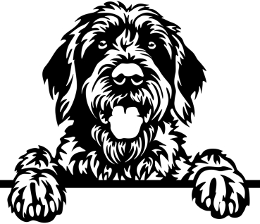 Aufkleber Deutsch Drahthaar Kopf