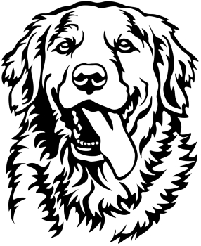 Aufkleber Golden Retriever Kopf