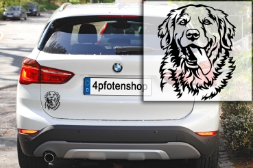 Preview: Autoaufkleber "Golden Retriever" Kopf
