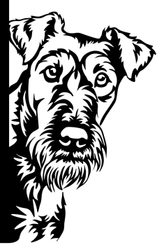 Aufkleber Irish Terrier Kopf